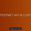 Работа с Testnet API криптобирж в Python CCXT: Настройка