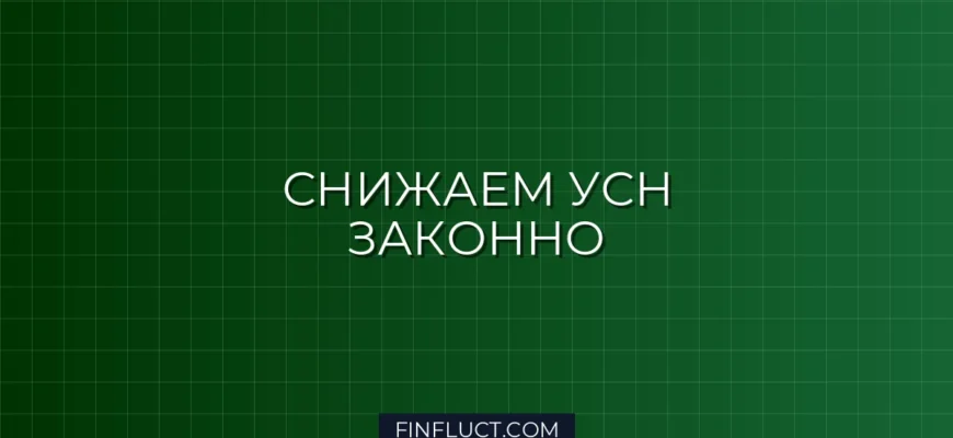 Как уменьшить налог УСН на страховые взносы в 2026 году: инструкция