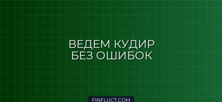 Как вести КУДиР для ИП на УСН в 2024-2025 годах: пошаговая инструкция