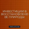 Как инвестировать в восстановление экосистем: руководство для инвестора