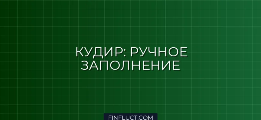 Как заполнить КУДиР вручную: Пошаговая инструкция для ИП и ООО