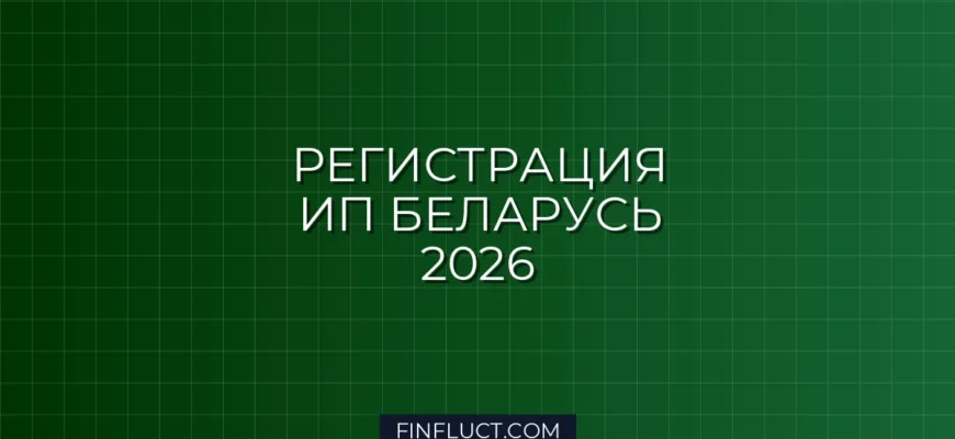 Как открыть ИП в Беларуси в 2026 году: пошаговая инструкция