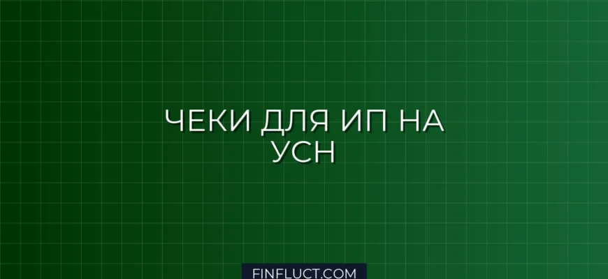Как правильно оформлять кассовые чеки для ИП на УСН: подробная инструкция