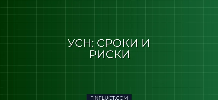 Уведомление об УСН: сроки подачи в 2024-2025 годах и последствия пропуска