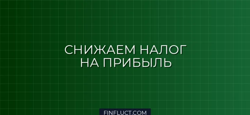 Как законно уменьшить налог на прибыль организации: рабочие способы