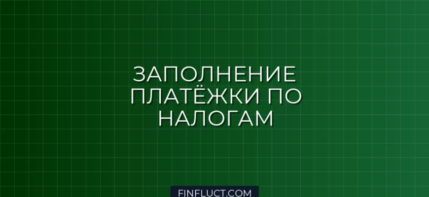 Как заполнить платёжное поручение на уплату налогов в 2024 году: инструкция