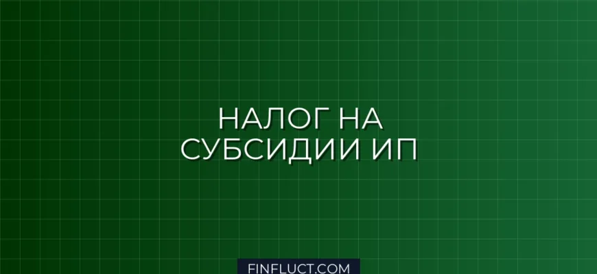 Как ИП платить налог при получении субсидий от государства: инструкция