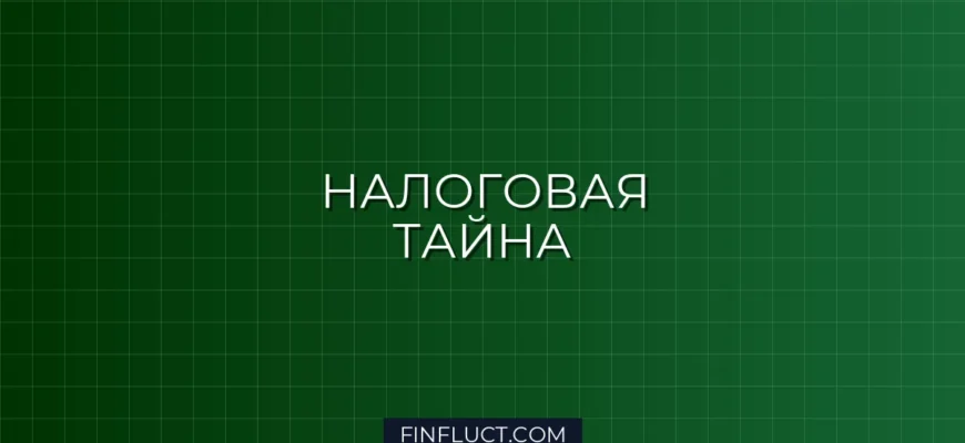 Налоговая тайна: что ФНС может разглашать, а что нет – Полный гид