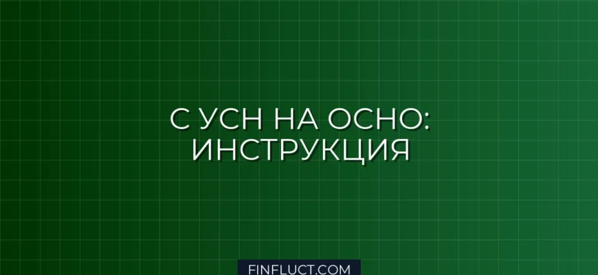Переход с УСН на ОСНО в 2024 году: пошаговая инструкция, плюсы и минусы