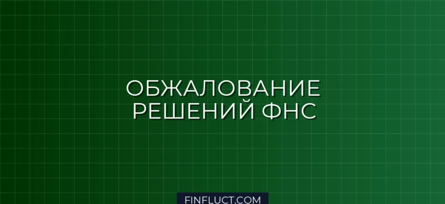 Как обжаловать решение налоговой в досудебном порядке: инструкция